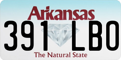 AR license plate 391LBO