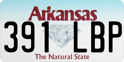 AR license plate 391LBP