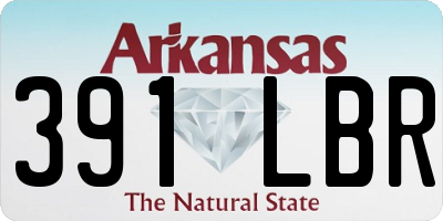 AR license plate 391LBR