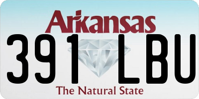 AR license plate 391LBU