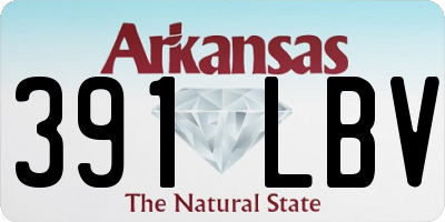 AR license plate 391LBV