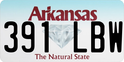 AR license plate 391LBW
