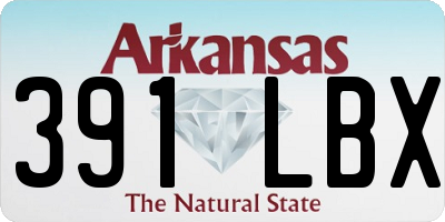 AR license plate 391LBX