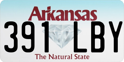 AR license plate 391LBY