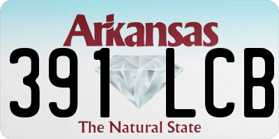 AR license plate 391LCB