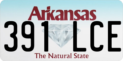 AR license plate 391LCE