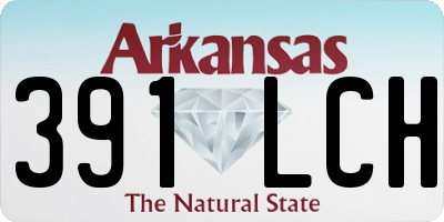 AR license plate 391LCH