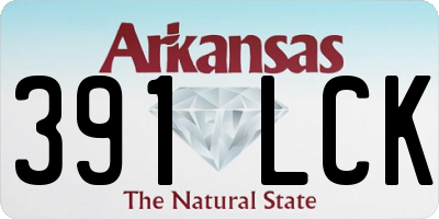 AR license plate 391LCK