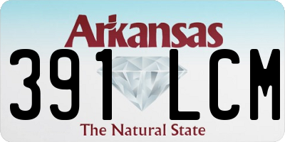 AR license plate 391LCM
