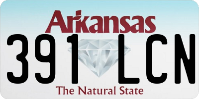 AR license plate 391LCN