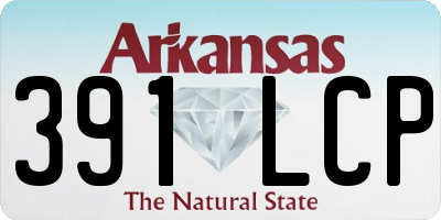 AR license plate 391LCP