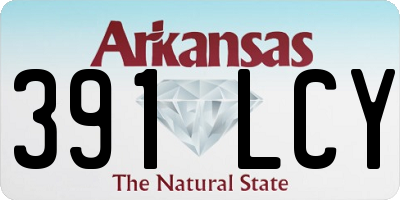 AR license plate 391LCY