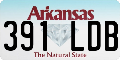 AR license plate 391LDB