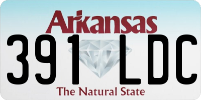 AR license plate 391LDC