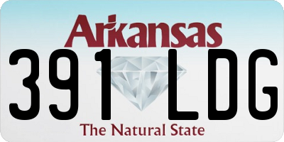 AR license plate 391LDG