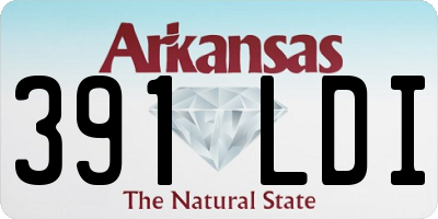 AR license plate 391LDI