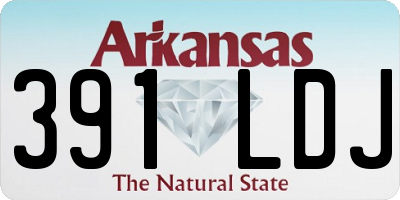 AR license plate 391LDJ