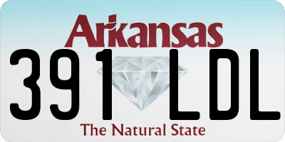 AR license plate 391LDL