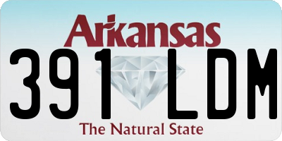 AR license plate 391LDM