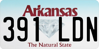 AR license plate 391LDN