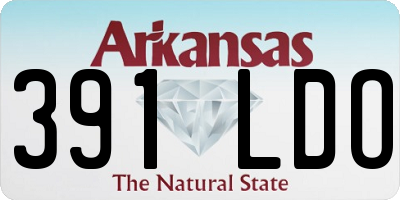 AR license plate 391LDO