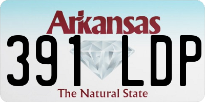 AR license plate 391LDP