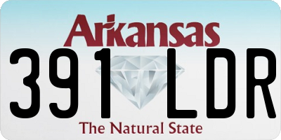 AR license plate 391LDR