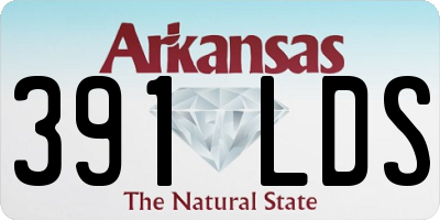 AR license plate 391LDS