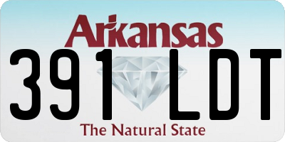 AR license plate 391LDT