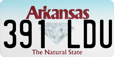 AR license plate 391LDU