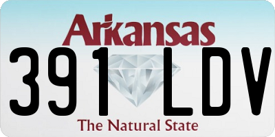 AR license plate 391LDV
