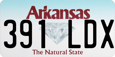 AR license plate 391LDX