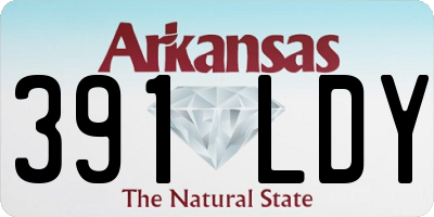 AR license plate 391LDY