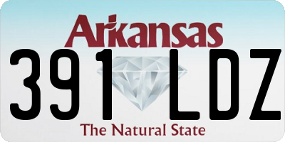AR license plate 391LDZ
