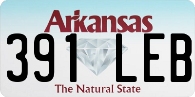 AR license plate 391LEB