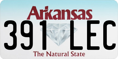 AR license plate 391LEC