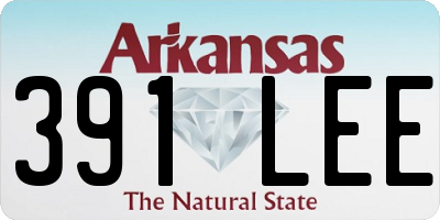 AR license plate 391LEE