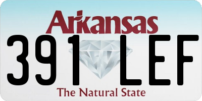 AR license plate 391LEF