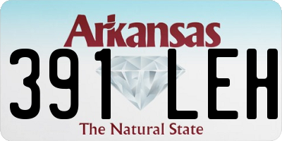 AR license plate 391LEH