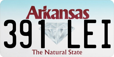 AR license plate 391LEI