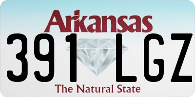 AR license plate 391LGZ