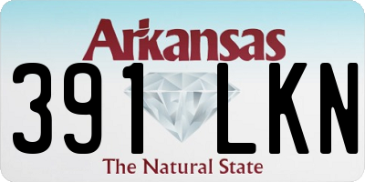 AR license plate 391LKN