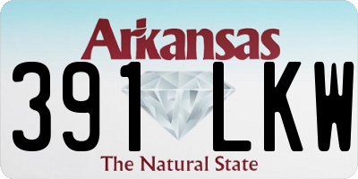 AR license plate 391LKW