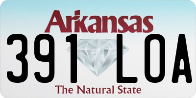 AR license plate 391LOA