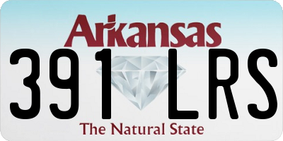 AR license plate 391LRS