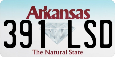 AR license plate 391LSD