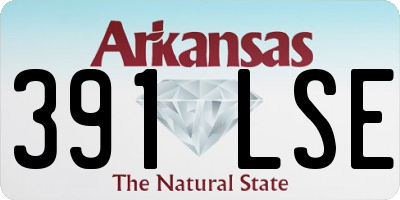 AR license plate 391LSE
