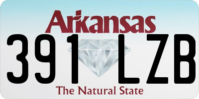 AR license plate 391LZB