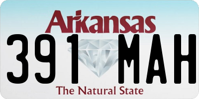 AR license plate 391MAH