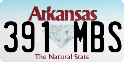 AR license plate 391MBS